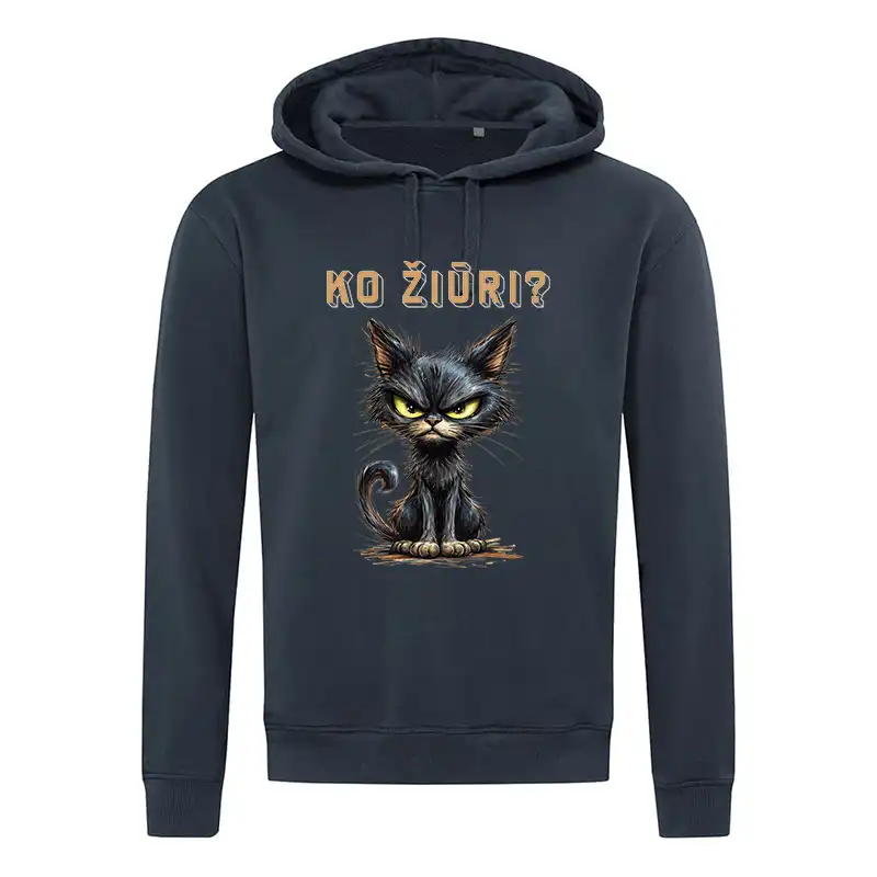 Ko žiūri Katinas