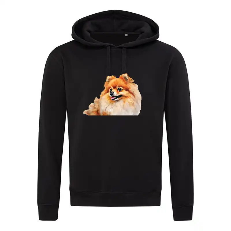 špicas suo