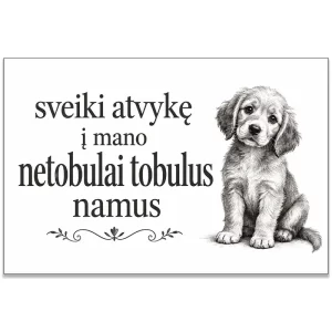 Sveiki atvyke į namo namus